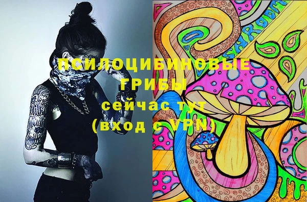 шишки Усинск