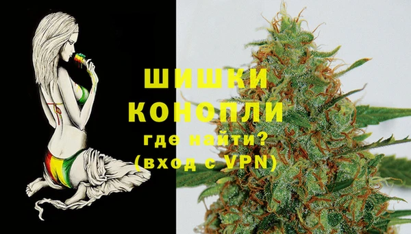 шишки Усинск