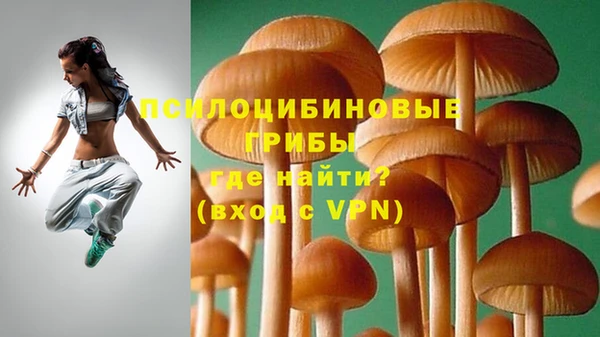 шишки Усинск